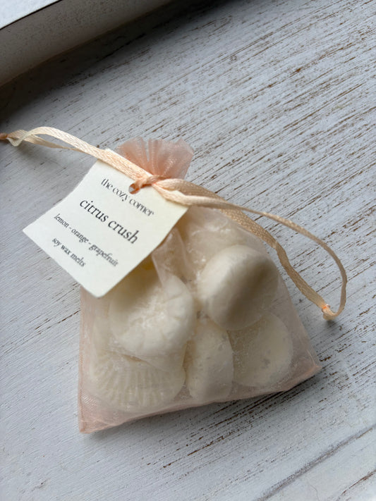 Citrus Crush Fruit Wax Melts