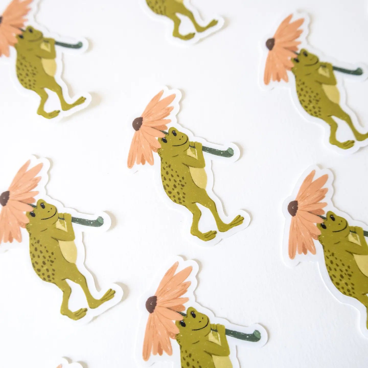 Frog Clear Sticker